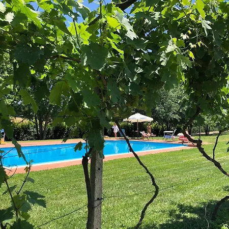 With Private Vineyard & Pool, Monferrato *