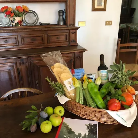 With Private Vineyard & Pool, Monferrato * Castello di Annone