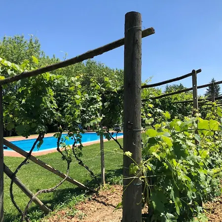 Villa With Private Vineyard & Pool, Monferrato