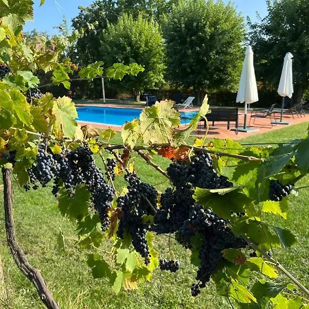 With Private Vineyard & Pool, Monferrato Castello di Annone
